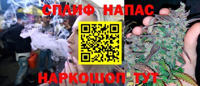гидра Беслан