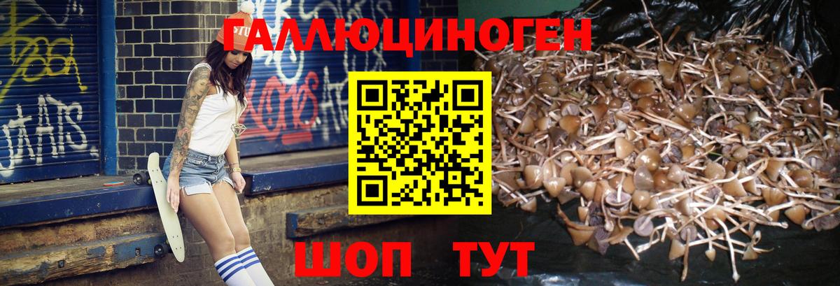 Касимов  Галлюциногенные грибы MAGIC MUSHROOMS  Вход с VPN 