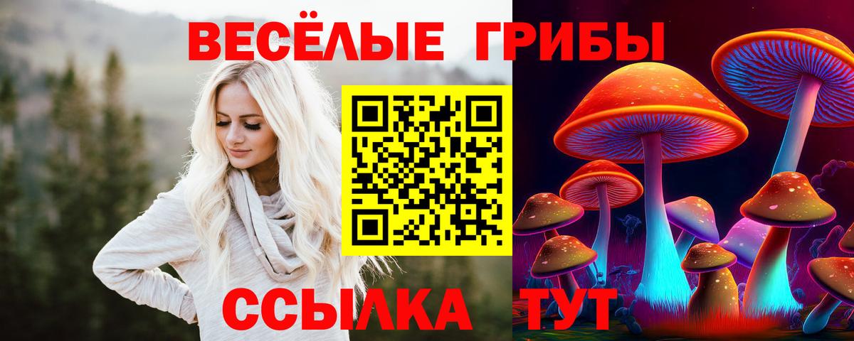Псилоцибиновые грибы GOLDEN TEACHER Касимов
